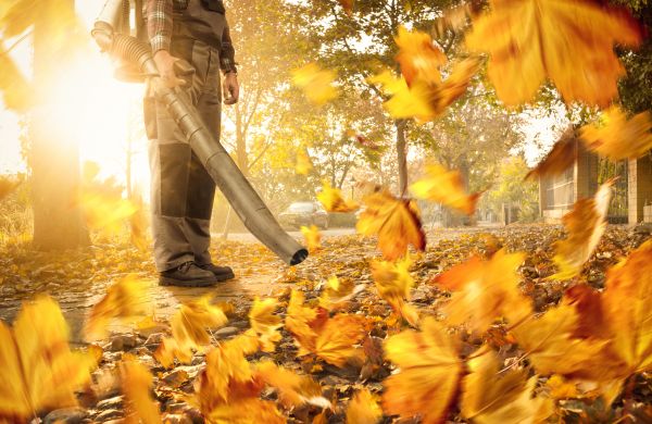 Cost of Leaf Blowing Service in Lake Stevens