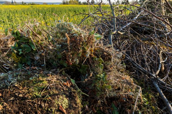 Brush Disposal in Lake Stevens