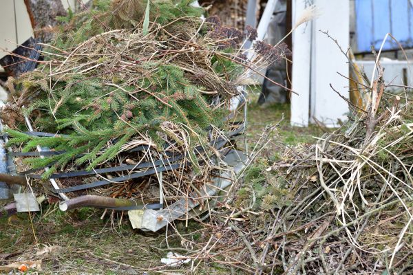 Yard Waste Removal Service in Lake Stevens