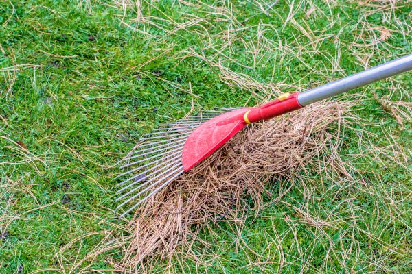 Cost of Yard Raking in Lake Stevens