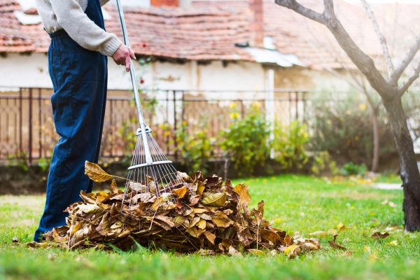 Cost of Spring Lawn Cleanup in Lake Stevens