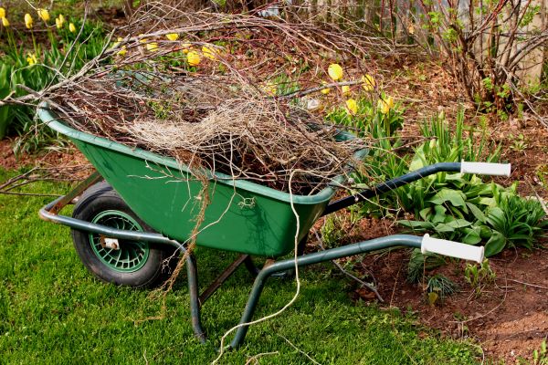 Lawn Waste Removal in Lake Stevens