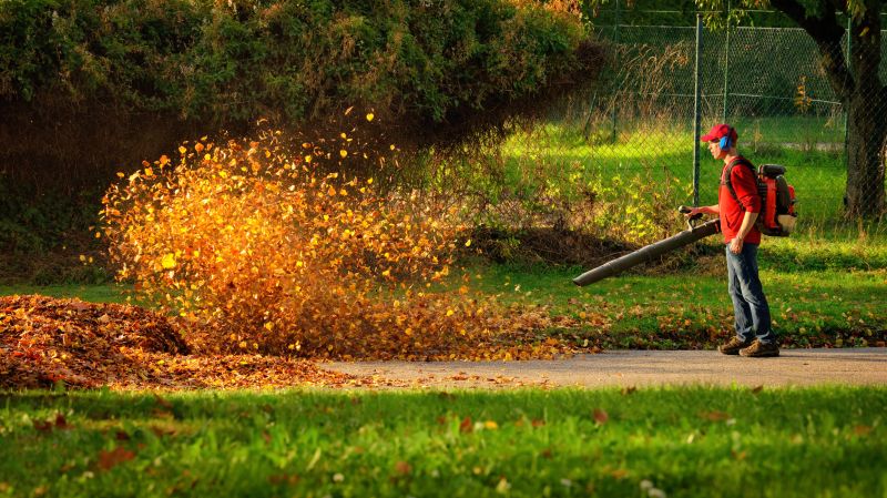 Professional Leaf Clearing Equipment