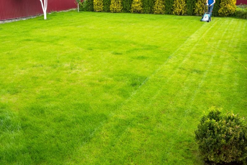 Spring Lawn Preparation