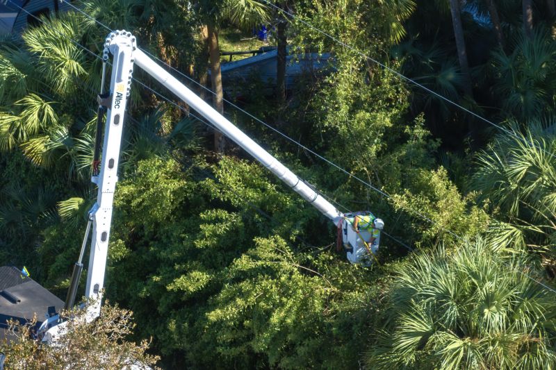 Leaf Hauling Service