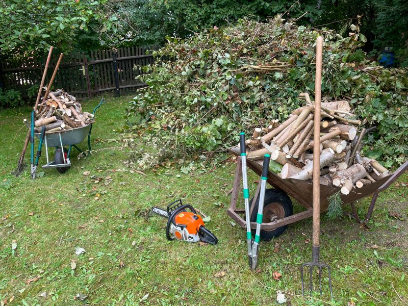 Debris Removal Services